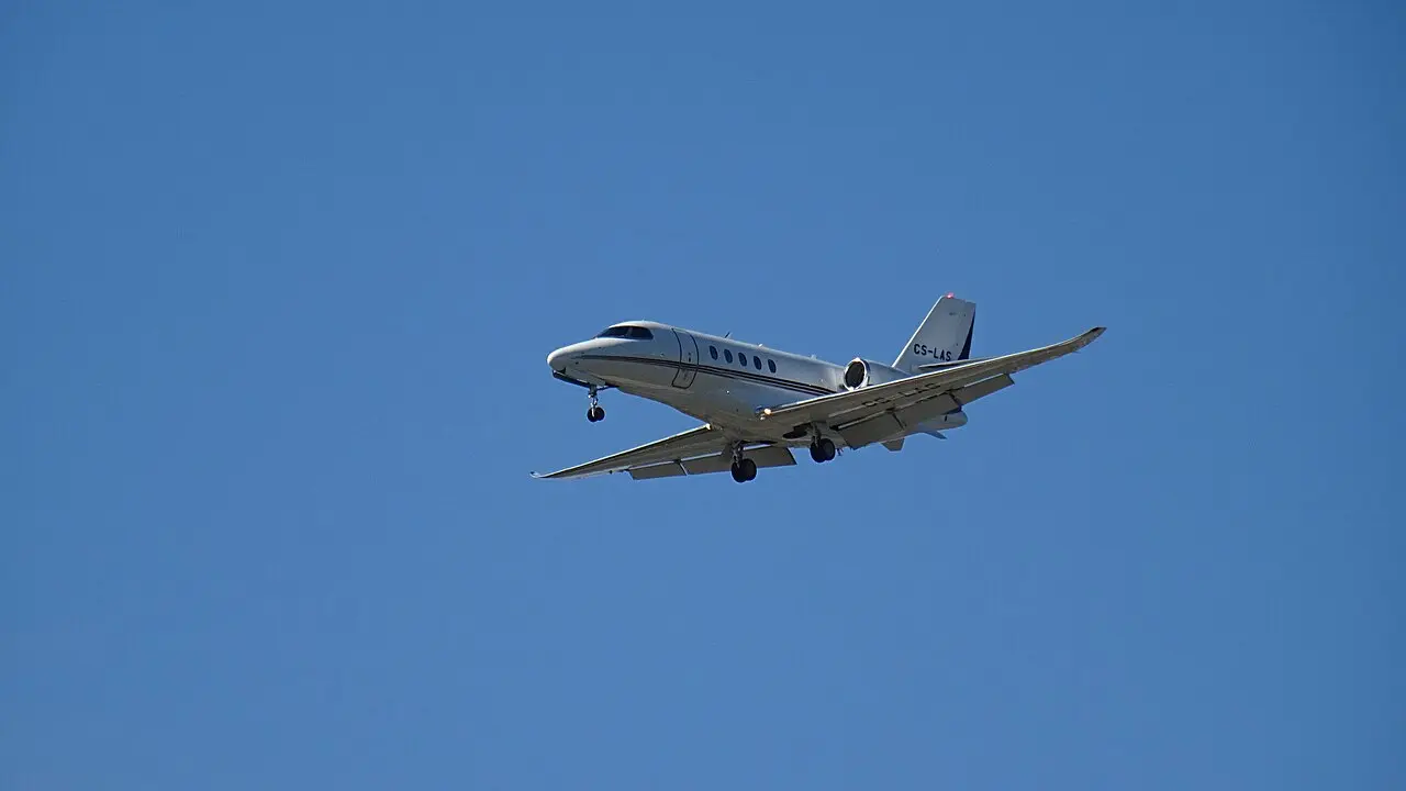 Empty Legs view 4 of 7